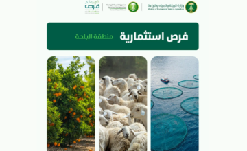 البيئة تعلن عن 4 فرص استثمارية زراعية وسمكية في الباحة لتعزيز الأمن الغذائي وتحقيق الاكتفاء الذاتي