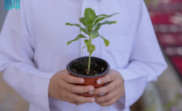 إطلاق مبادرة “المساجد الخضراء” لتحويل 664 مسجدًا بالحدود الشمالية إلى نماذج بيئية مستدامة