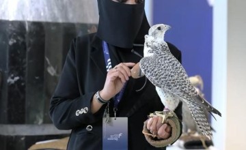 أمينة العنزي: أول رائدة في مجال الصقارة بالحدود الشمالية