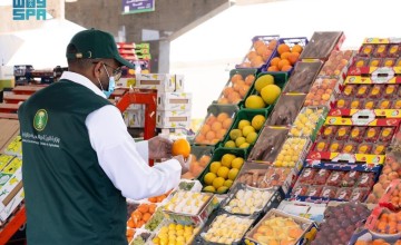 قبل رمضان.. رصد 1475 إنذاراً ومخالفة خلال 6281 جولة لضمان سلامة الغذاء