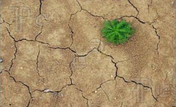 عمل صالح ينتفع به