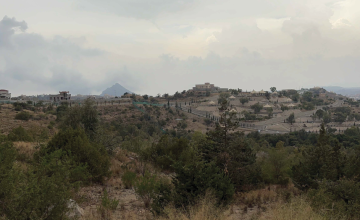 من “السكران” إلى “التلال”.. تفاصيل طرح 3 ملايين متر مربع للاستثمار البيئي في الباحة