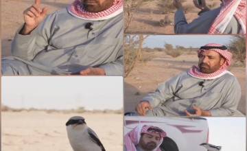 قصة صداقة غريبة في قلب الطائف.. حكاية المواطن عبد الرحمن العتيبي مع “طائر” غيّر حياته (شاهد)