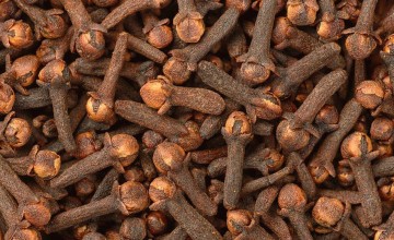 النمر يكشف السر: لماذا لا يُعتمد على القرنفل في وقف النزيف؟