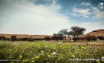 بأكثر من 200 ألف شجرة.. متنزه “الغاط الوطني” يتصدر الوجهات الطبيعية في منطقة الرياض (شاهد)