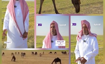 فويضي الصخابرة.. قصة مواطن يفتح مزارعه لأهل الإبل مجاناً منذ 34 عاماً (شاهد)