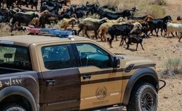 الأمن البيئي يضبط مواطنًا أشعل النار في موقع غير مخصص بالشرقية