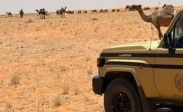 ضبط مواطنين ارتكبا مخالفات بيئية.. وغرامات تصل إلى 31.5 ألف ريال