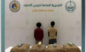 حرس الحدود بجازان يحبط تهريب 80 كيلوجرامًا من القات المخدر