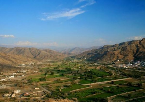 مصادر: عدة جهات حكومية تدرس ضم محافظتي العرضيات والقنفذة إلى منطقة الباحة