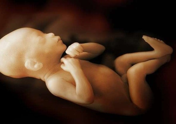 “سابقة تاريخية”.. امرأة تلد طفلين في أسبوعين !