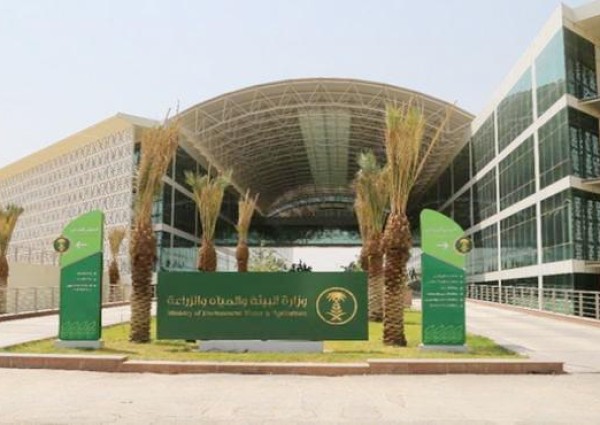 نظام جديد للأرصاد.. مليون ريال غرامة لراصدي الطقس دون ترخيص