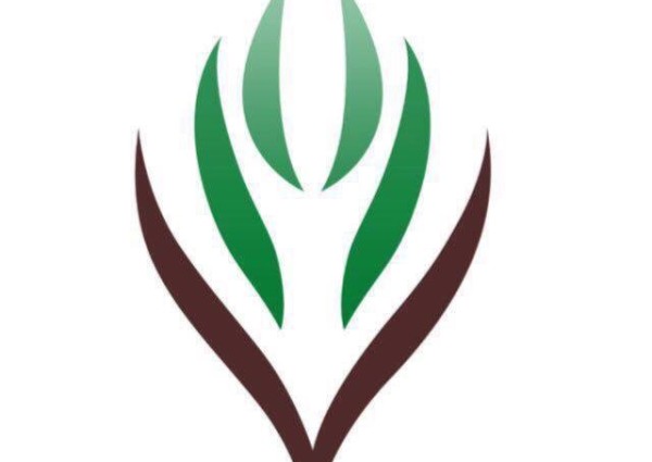 فعاليات لجنة التنمية الاجتماعية بحي السلام.. خلال الأسبوع الحالي