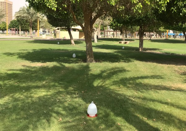 في بادرة تعد الأولى من نوعها   رئيس بلدية الخبر يطلق ” رحمة ” لسقيا الطيور في الأماكن العامة