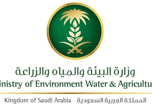 “البيئة” تعالج 23685 هكتاراً من الجراد الصحراوي في 4 مناطق