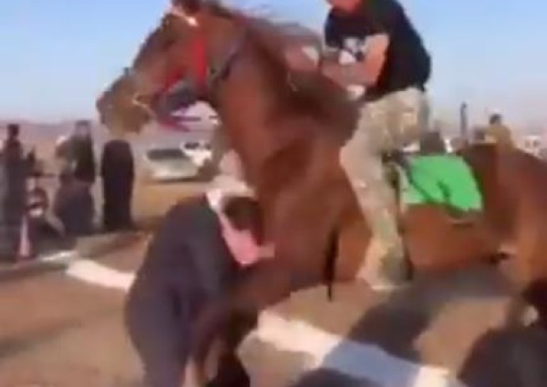 شاهد.. إصـابة عنيفة لشخص ارتطم بحصان بعد نزوله لمضمار سباق خيل بحائل