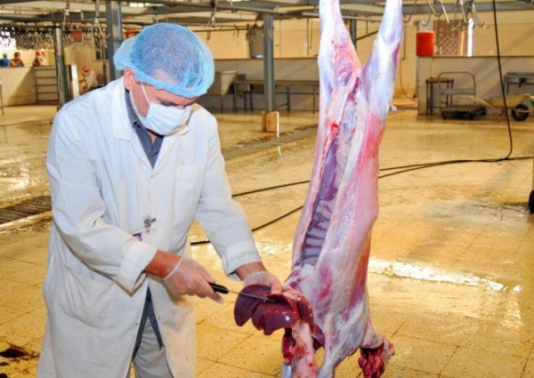 أمانة الرياض تتيح للمطابخ الحصول على تصريح مؤقت لتقديم خدمة ذبح الأضاحي خلال عيد الأضحى