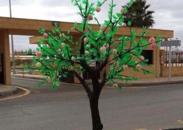 بعد صور متداولة .. أول تعليق من بلدية حائل بشأن تشجير الشوارع بالبلاستيك