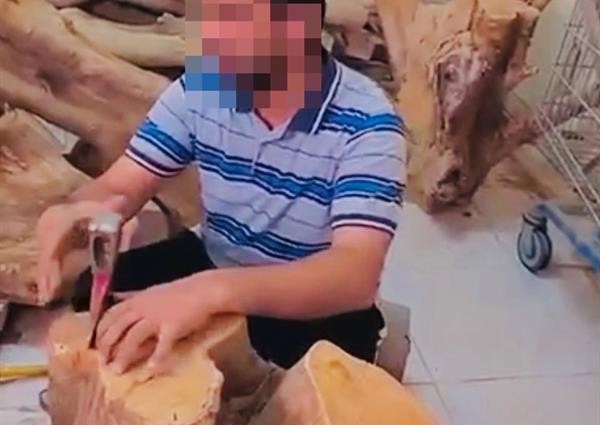 أول تعليق من الموارد البشرية عن ما تداول بشأن حالة مواطن يعمل في نشاط قطع الحطب وبحاجة للمساعدة