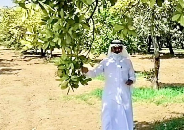 زيارة مدير ادارة تخطيط الابحاث لمركز الأبحاث الزراعية بجازان