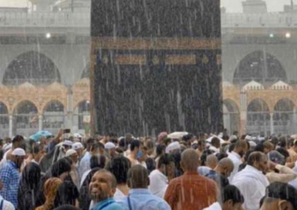 رزقُ الحكيمِ