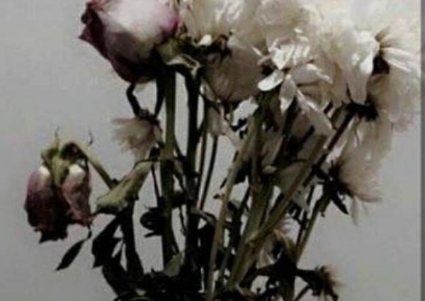 السلام والأمان