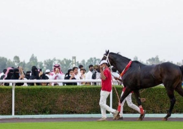 نادي سباق الخيل يقيم حفل سباقه السابع بالطائف