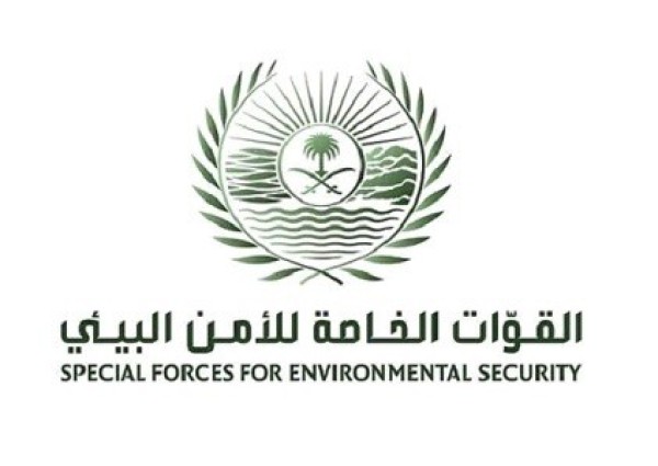 القوات الخاصة للأمن البيئي تضبط مخالفين لنظام البيئة لبيعهم حطبًا محليًا لأغراض تجارية