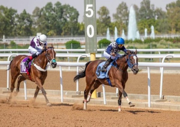 نادي سباق الخيل يقيم الحفل العاشر على كأس جامعة أم القرى وجائزة النادي بالطائف