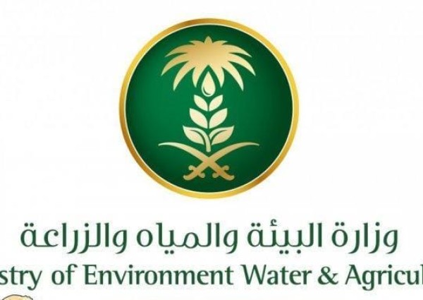 الشلاش مديرا لمكتب حائل والناصر لمكتب محافظة الشنان والجربوع لوحدة جبة