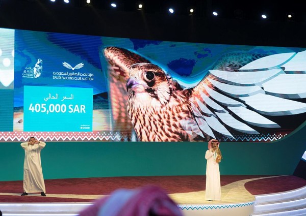 405 آلاف ريال تجعل من صقر طريف الأغلى في مزاد نادي الصقور السعودي الثاني