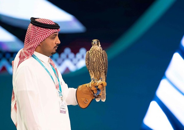 بأكثر من 8 ملايين ريال.. نادي الصقور يسدل الستار على النسخة الثانية من مزاده