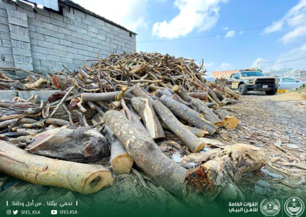 القوات الخاصة للأمن البيئي تضبط مخالفين لنظام البيئة لاستخدامهم حطبًا محليًا في أنشطة تجارية بمنطقة عسير