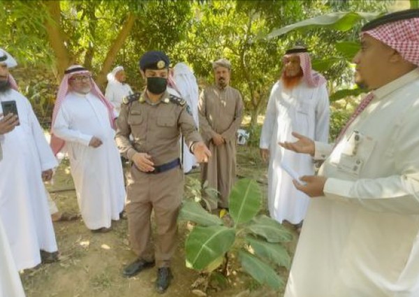 الزراعة تنفذ برنامج ارشادي للاستفادة من مخلفات المزارع بفيفاء