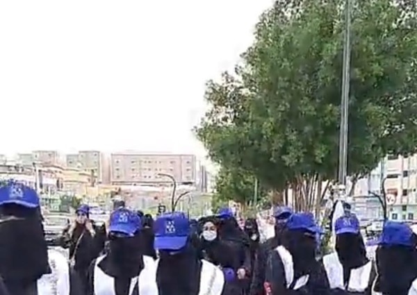 مبادرة ” كات ووك ” للمحافظة على القطط البرية المعرضة للإنقراض بالطائف .