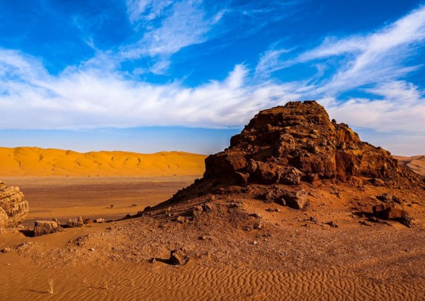 مركز الغطاء النباتي يطلق “مبادرة تطوير القدرة على الاستعداد للجفاف”