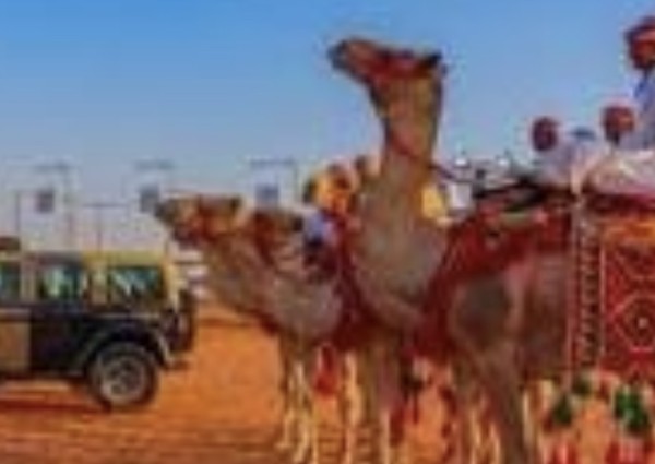 الأمن البيئي يختتم مشاركته في مهرجان هيئة تطوير محمية الإمام تركي بن عبدالله الملكية لمزاد الإبل بمنطقة حائل