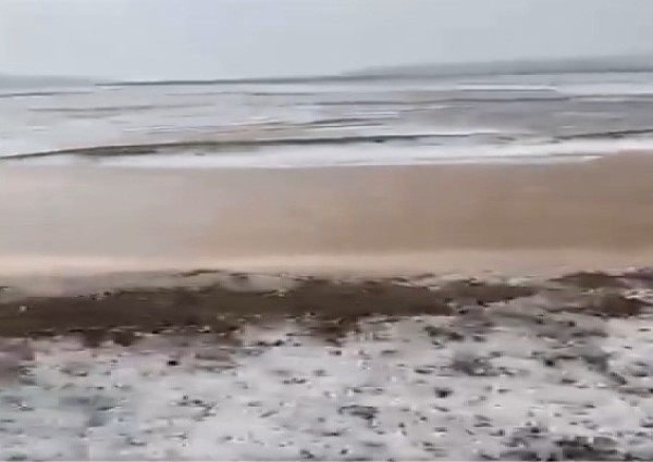 بالفيديو: هطول امطار غزيرة مصحوبة بالبرد على محافظة الحناكية