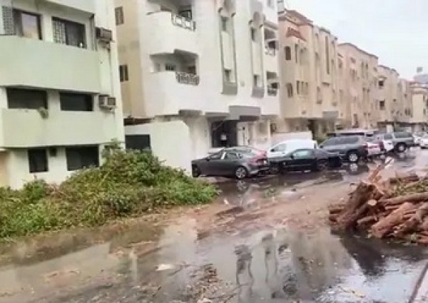 بالفيديو: سقوط عدد كبير من الأشجار بعد اقتلاعها من جذورها بسبب الأمطار في جدة