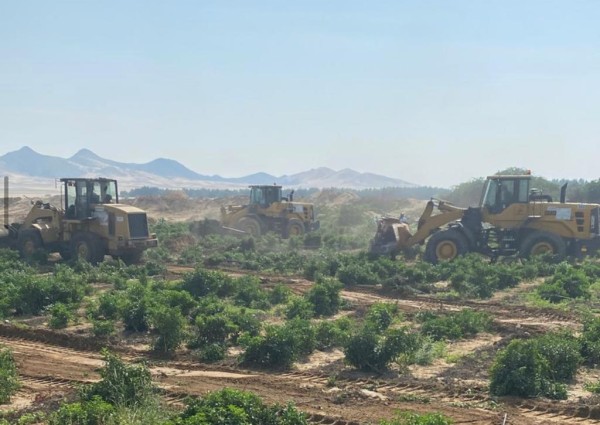 وكالة البلديات تُزيل مزارع تُسقى بمياه صرف صحي بجنوب مكة