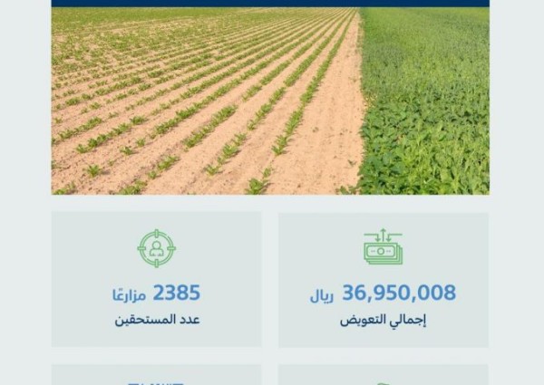 “البيئة” تبدأ صرف تعويضات 2385 مزارعًا توقفوا عن زراعة الأعلاف الخضراء أو قلصوا مساحتها