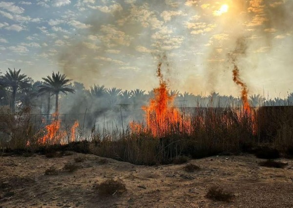 الدفاع المدني في دومة الجندل يسيطر على حريق مزارع نشب في مواقع عدة نتج عنه احتراق 28 نخلة وأشجار أخرى