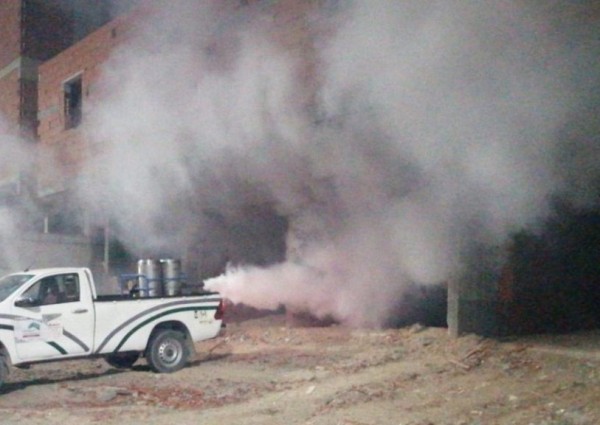 أمانة العاصمة المقدسة تكثف مكافحة الحشرات