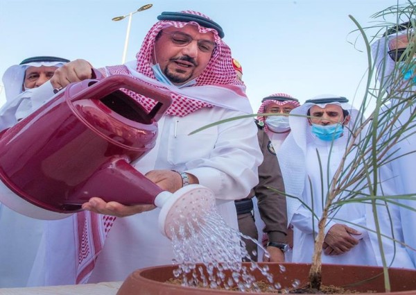 مأوى للغزلان واستزراع 100 ألف شجرة بمنتزه القصيم الوطني