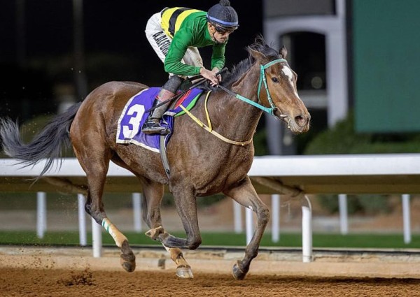 نجابة العز تحقق كأس جامعة الإمام محمد بن سعود في الحفل الـ 92 ضمن موسم سباقات الرياض 2023