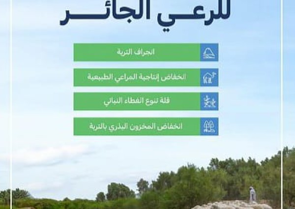 “البيئة”: أربعة أضرار رئيسة للرعي الجائر على أراضي المملكة