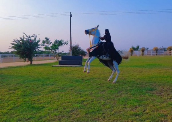 مربط مُهاب يتصدر شتاء ٢٠٢٣