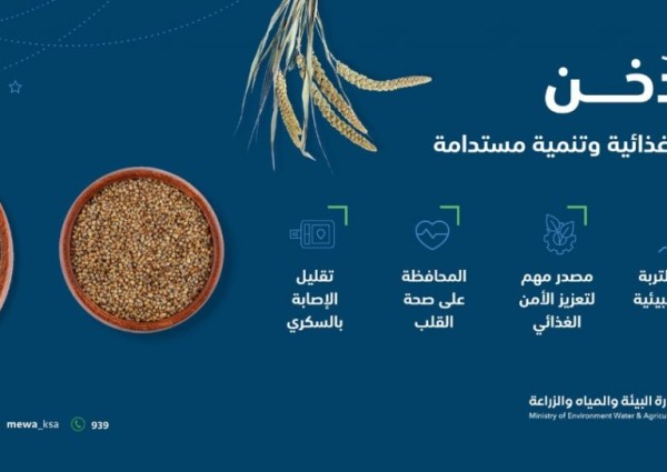 “البيئة”: استخدام التقنيات الحديثة لتطوير زراعة الدُخن وزيادة إسهامه في الأمن الغذائي