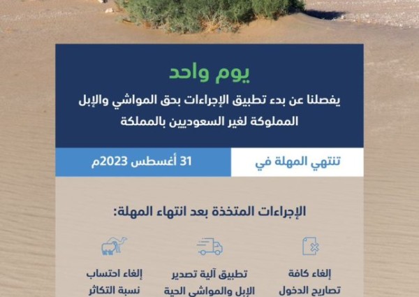 “البيئة”: غدًا الخميس آخر يوم لانتهاء مهلة عودة المواشي والإبل المملوكة لغير السعوديين إلى دولهم
