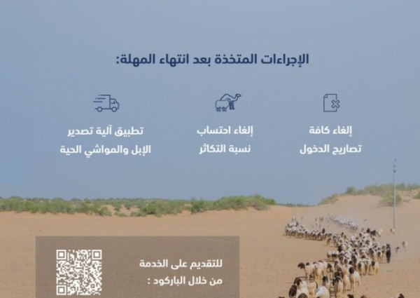 “البيئة”: الشهر الأخير لعودة المواشي المملوكة لغير السعوديين إلى دولهم
